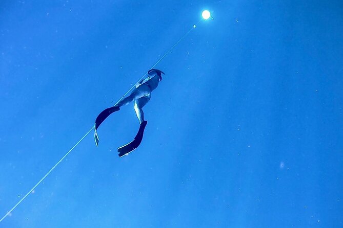 Freediver Certification Course - Location and Meeting Details