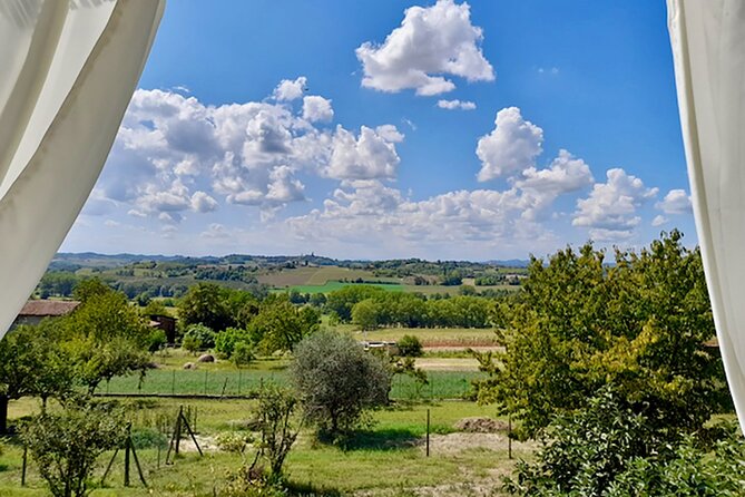 Fresh Pasta With a View in Langhe, Roero, Monferrato Near Asti - Accessibility and Participation