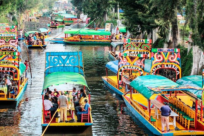 Frida Kahlos House, Coyoacan and Xochimilco - All Day Tour - Highlights and Activities