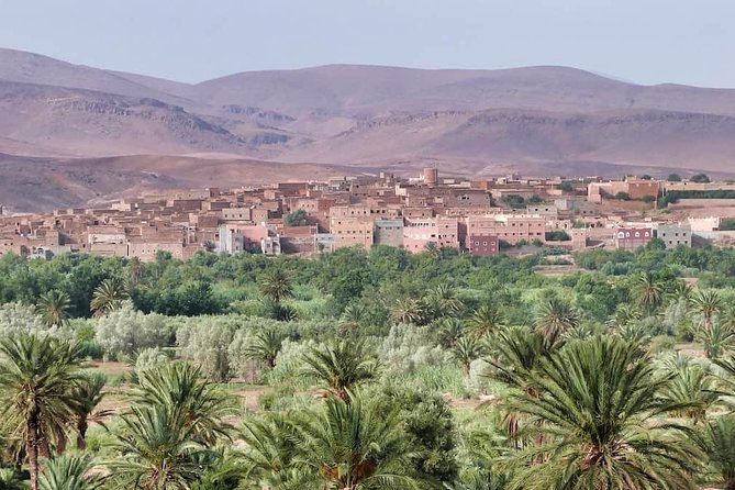 From Agadir 08 Days Round Trip to Southern Morocco. - Accommodations and Meals
