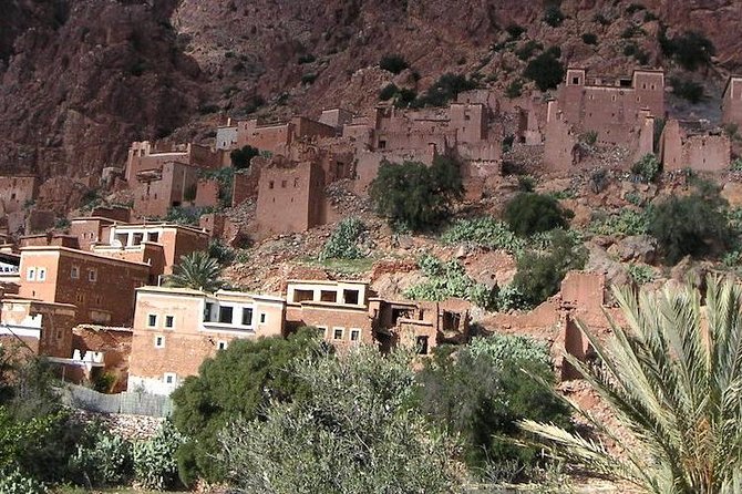 From Agadir Goats to the Tree Tour (Land & People) - Booking Details