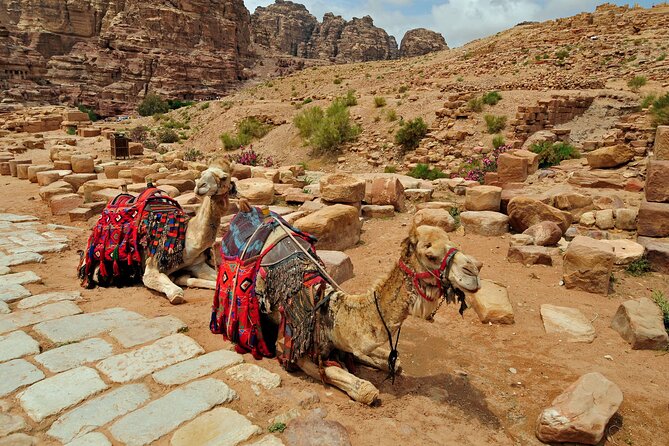 From Agadir or Port Trip to Small Sahara of Massa and Tiznit With Lunch - Highlights of the Journey