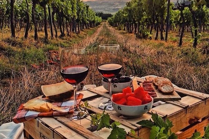 From Bologna: Chianti Wine Experience With Lunch - Booking Issues Assistance