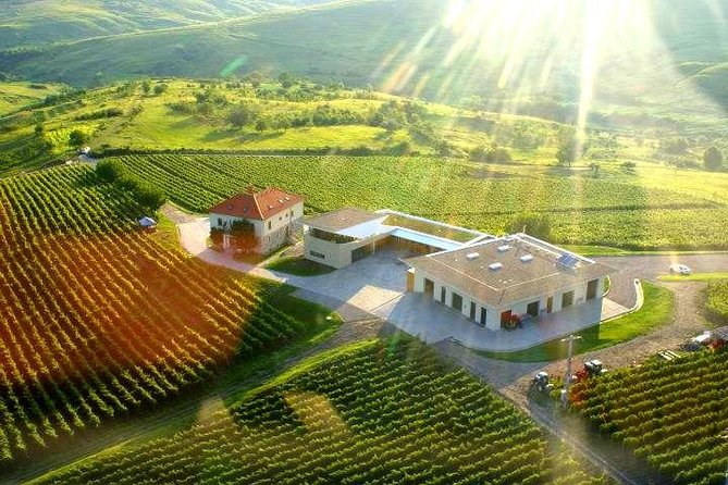 From Bucharest: Private Wine Tasting Tour in Dealu Mare Wineland - Pricing and Booking