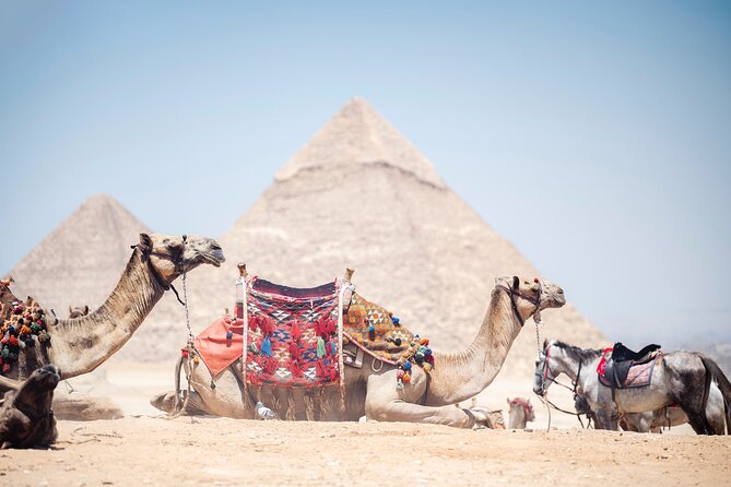 From Cairo or Giza: Pyramids of Giza, Sphinx, Saqqara & Memphis Tour With Lunch - Inclusions and Amenities