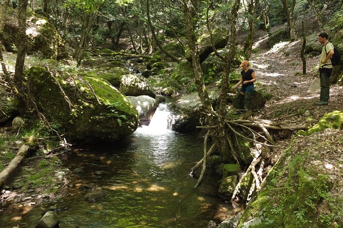 From Catania, Syracuse and Taormina: Fly Fishing Experience - Booking Details