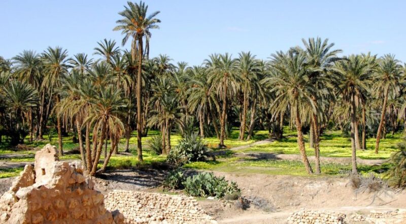From Djerba: 2-Day Tour of Tozeur and Mountain Oasis - Tour Itinerary