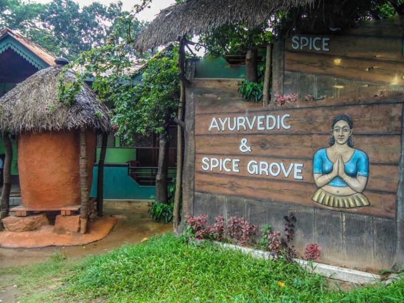 From Kandy: Sigiriya Rock and Dambulla Cave Temple Day Tour - Itinerary Highlights