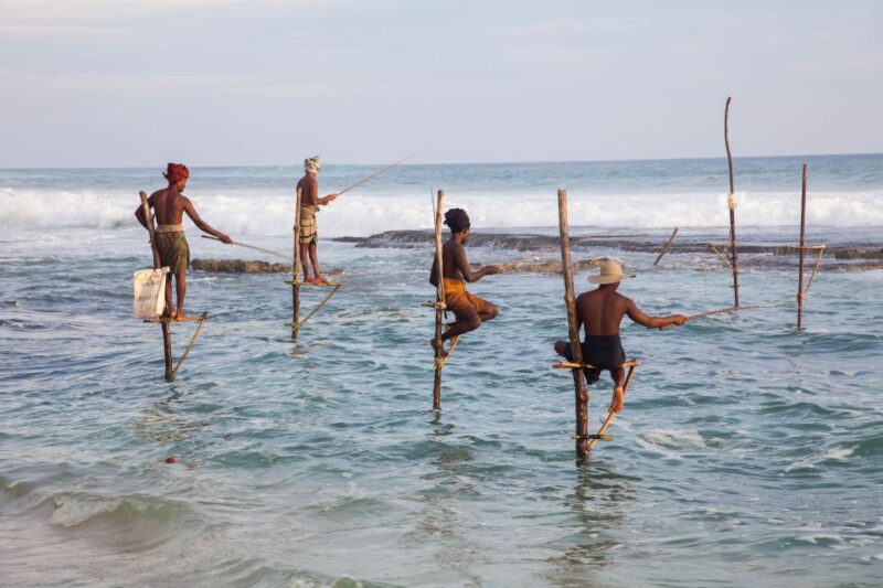 From Negombo: Southern Coast Highlights Private Day Tour - Tour Itinerary and Highlights