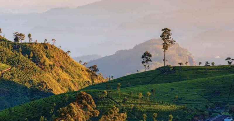 From Nuwara Eliya: Haputale Highlands Private Day Tour - Itinerary Highlights