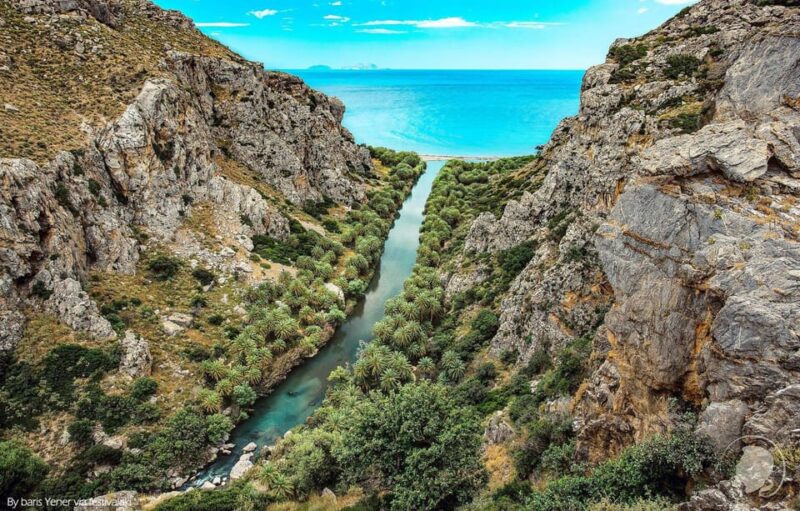 From Rethymno: Preveli Palm Forest, Damnoni and Plakias Tour - Itinerary and Activities