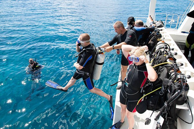 From Side, Alanya: Scuba Diving With 2 Time Dive & Lunch - Pickup and Meeting Information