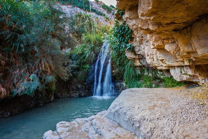 From Tel Aviv: Masada Sunrise, Ein Gedi & Dead Sea - Group Size and Transportation
