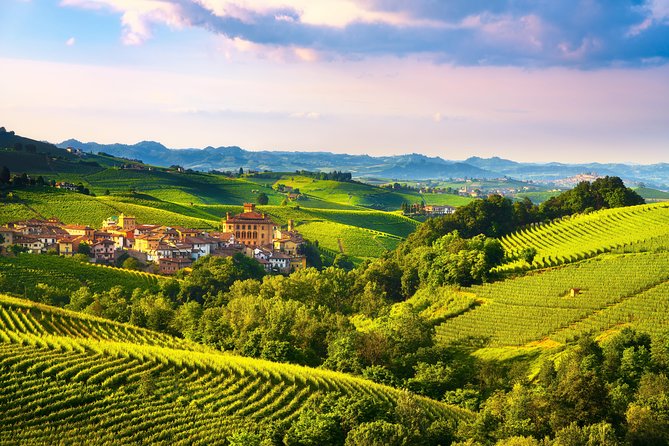 From Turin Private, Langhe Wine Tour With Transfer and Lunch - Intimate Group Experience