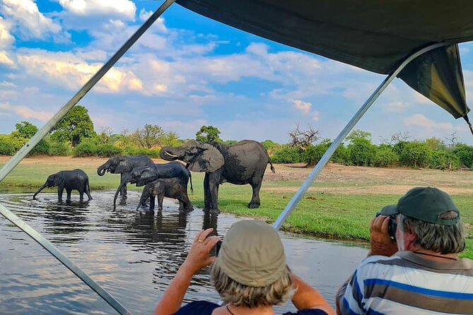 From Victoria Falls: a Full Day Chobe Safari With Buffet Lunch - Inclusions and Pickup Information