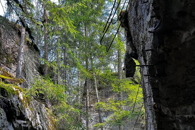 From Vilnius: Private Day Tour to Wolfs Liar (Hitlers Bunker) - Pickup and Meeting Details