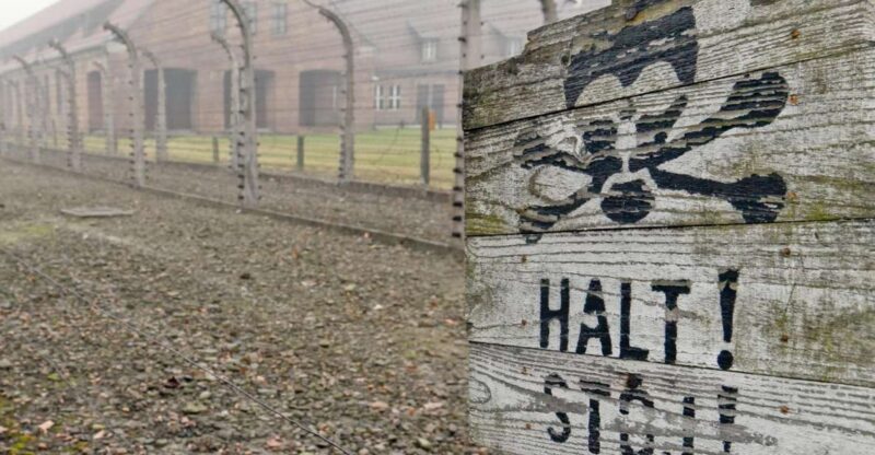 From Wrocław: Full-Day Auschwitz-Birkenau Guided Tour - Experience Highlights