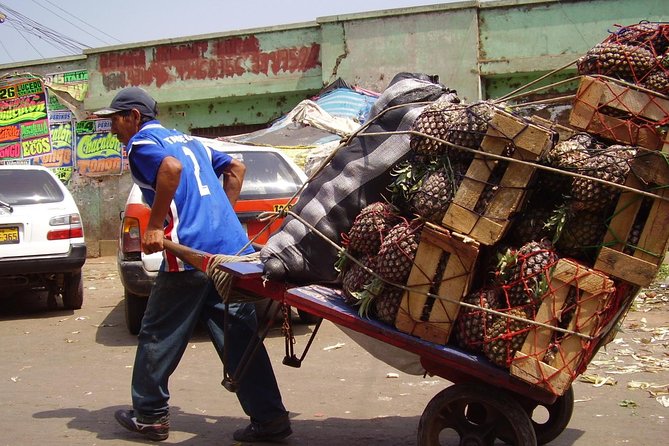 Fruit Kingdom - the Biggest Fruit Market of Lima - Experiencing Peruvian Culture