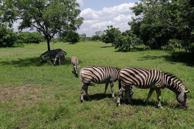 Full-Day Accra Safari and Boat Cruise Private Tour - Inclusions and Highlights