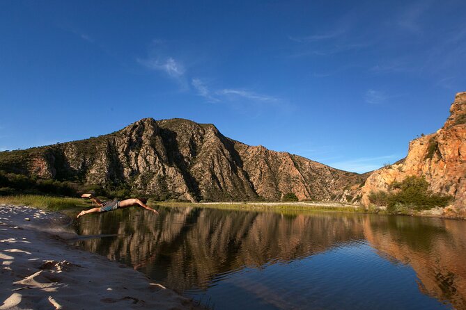 Full-Day Baviaanskloof Reserve Safari - Inclusions and Highlights of the Safari