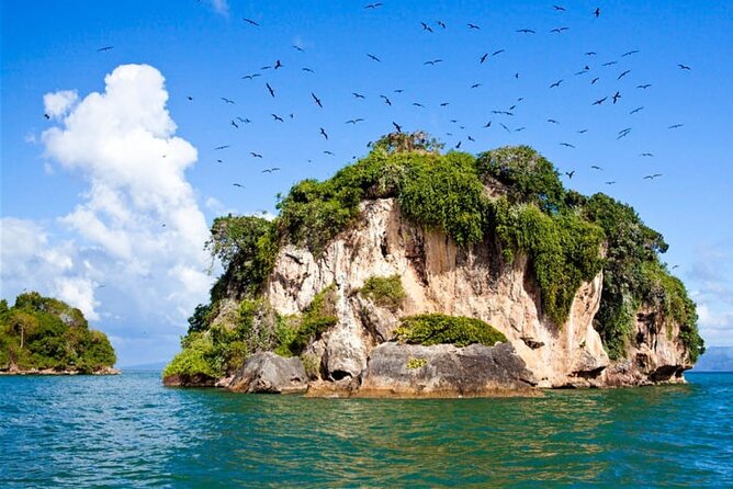 Full-Day Boat Tour of Los Haitises National Park - Accessibility and Participation