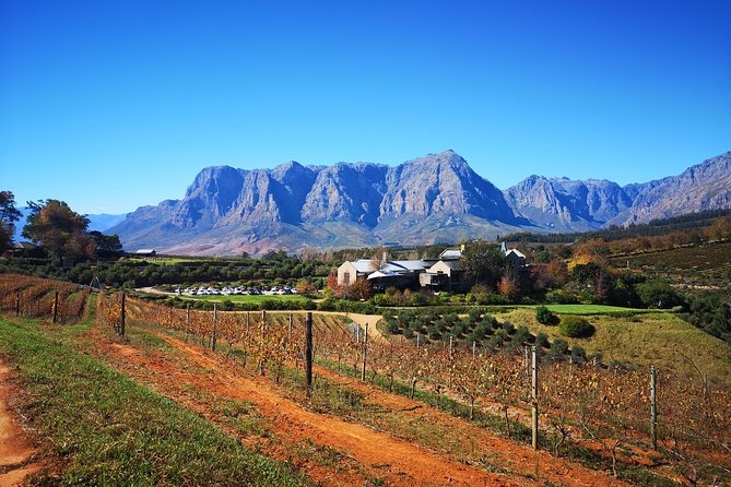 Full-Day Chocolate, Cheese, Olive and Wine Tour From Stellenbosch - Meeting and Pickup Details