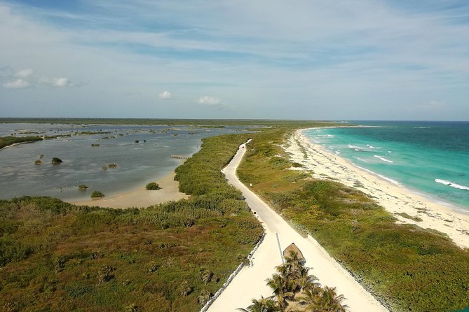 Full Day Cozumel Island Tour With Ferry, Snorkel, Virgin Beach, Buggy and Lunch - Meeting and End Points