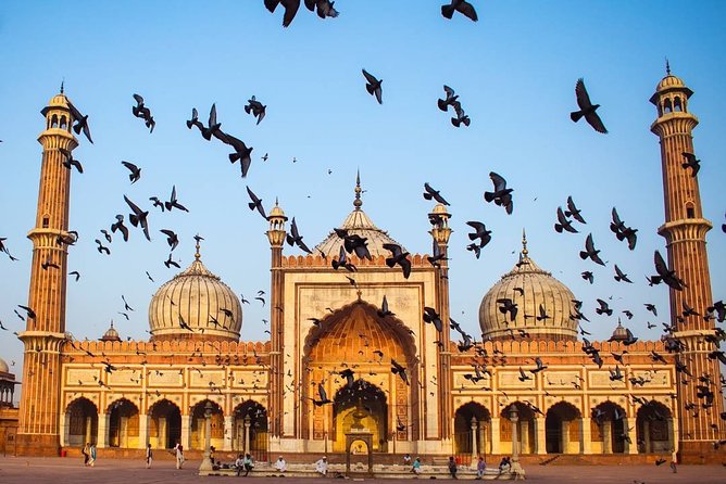 Full Day Delhi Tour With a Local - Private Delhi Day Tour - Inclusions and Amenities