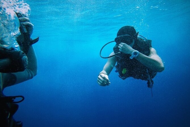 Full Day Diving for Beginners With Lunch in Hurghada - Preparing for the Diving Adventure