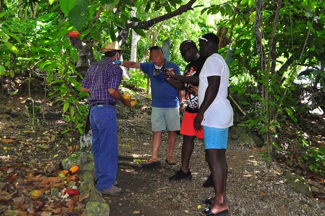 Full Day Eco Safari Adventure and Cultural Tour - Logistics and Pricing