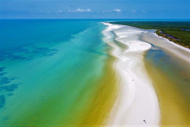 Full Day Excursion to the Best of Holbox From Riviera Maya - Inclusions and Costs