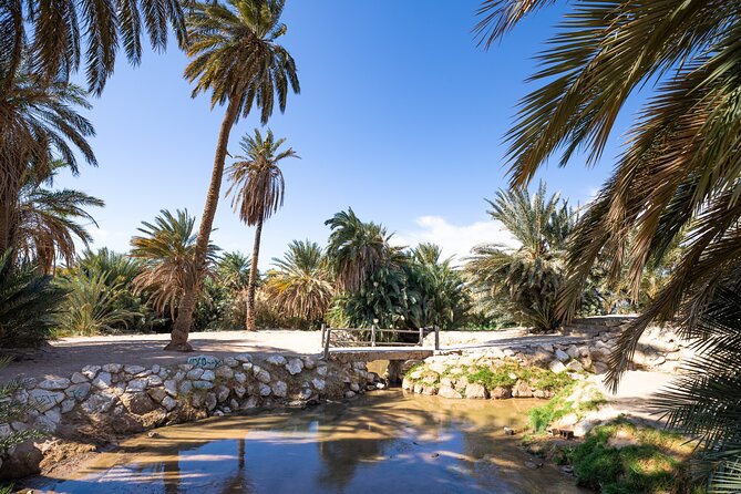 Full-Day Exploring The Land Of Midian & The Split Rock Of Moses - Valley of Moses