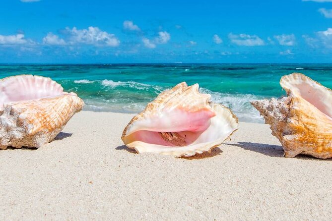 Full Day Fishing, Snorkeling, Iguana Island, Cruising, BBQ - Snorkeling Experience