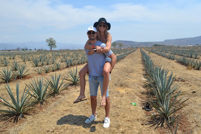 Full Day Guided Tour in Amatitán and Tequila With Tasting - Inclusions and Exclusions