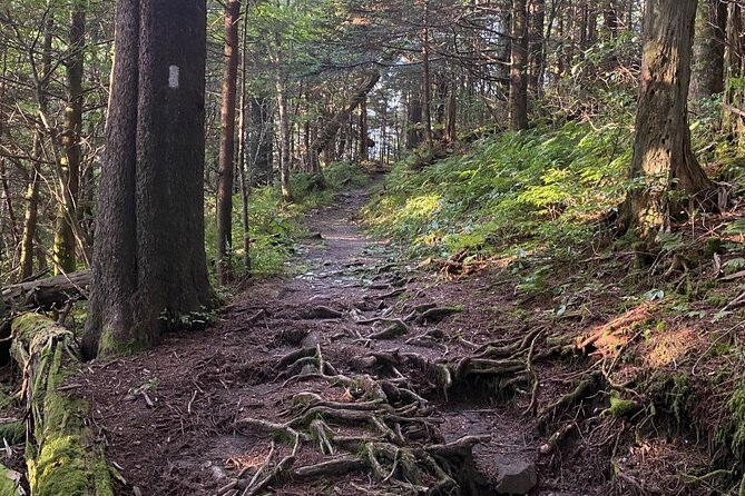 Full Day Hike to Charlies Bunion on the Appalachian Trail - Pricing and Cancellation Policy