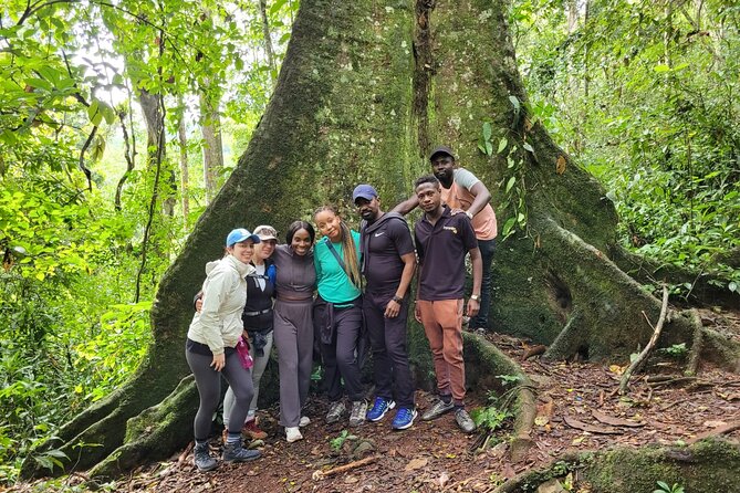 Full-Day Jinja Sightseeing Trip With Source of the Nile Boat Cruise - Itinerary Highlights
