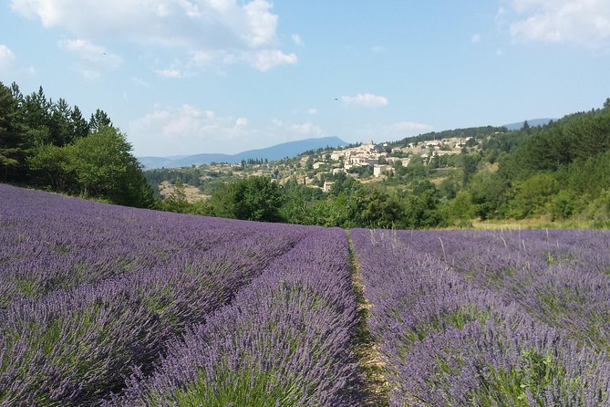 Full Day Lavender Tour Luberon and Sault - Exploring the Luberon Region