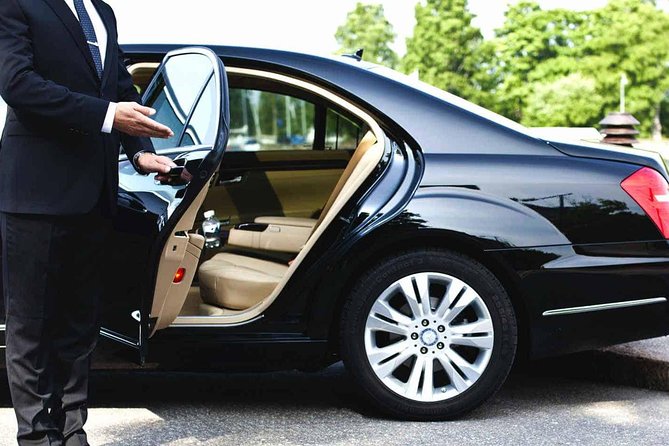 Full Day Luxury Car With Driver at Disposal in Hamburg - Pickup and Dropoff