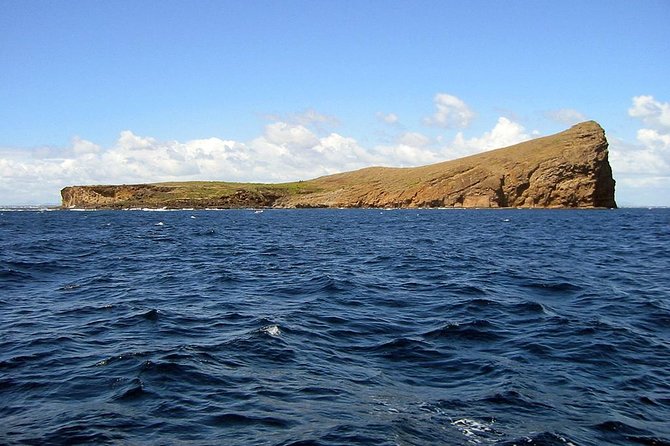 Full-Day Northern Catamaran Cruise: Coin De Mire and Ile Plate Island - Transportation Details