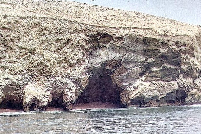 Full Day Paracas - Meeting and Pickup