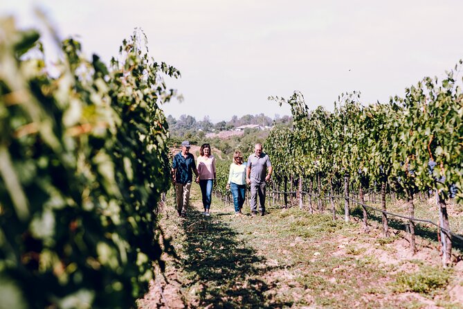 Full-Day Paso Robles Winery Tour With Picnic - Tour Inclusions and Features