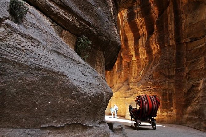 Full-Day Petra Tour From Dead Sea - Logistics