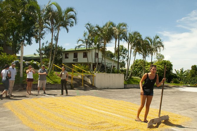 Full Day Poas Volcano, Coffee Tour and La Paz Waterfalls From San Jose - Inclusions