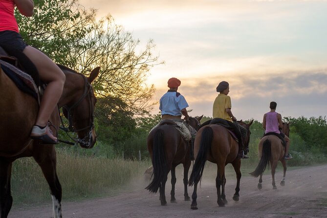 Full Day: Pool, Picnic, Guided Horseback Riding and Dinner - Schedule and Availability