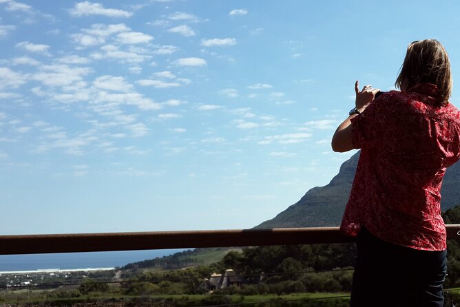 Full-Day Private Cape Peninsula Tour - Inclusions