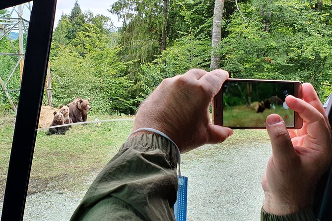 Full-Day Private Carpatian Garden With Draculas Fortress - Wild Brown Bears - Liberty Bear Sanctuary
