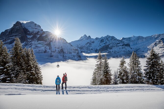 Full Day Private Guided Scenic Train Tour to the Swiss Alps - Traveler Reviews