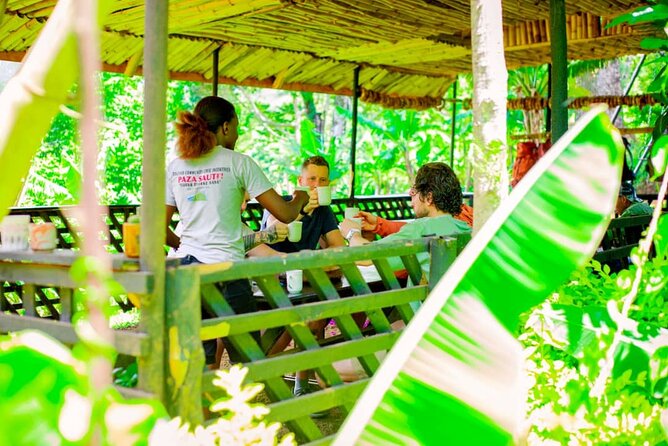 Full Day Private Materuni Waterfall and Kikuletwa Hot Spring Tour - Pickup Details