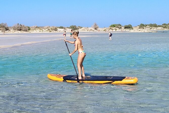 Full Day Private Minivan Tour to Elafonisi Beach and Kedrodasos - Accessibility and Participation