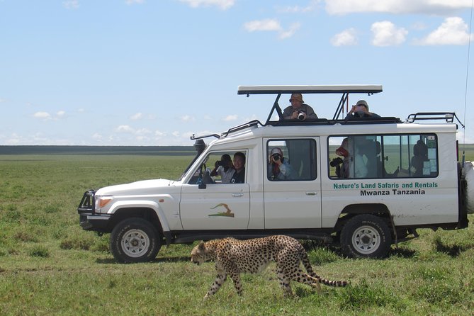 Full-Day Private Serengeti Safari From Mwanza - Pickup and Meeting Details